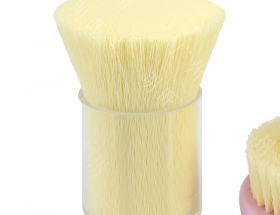 PBT刷絲和PA6刷絲價(jià)格對比，哪種更具性?xún)r(jià)比？